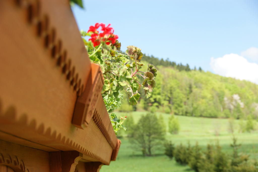 Villa la Val, Karkonosze Szarocin Kültér fotó