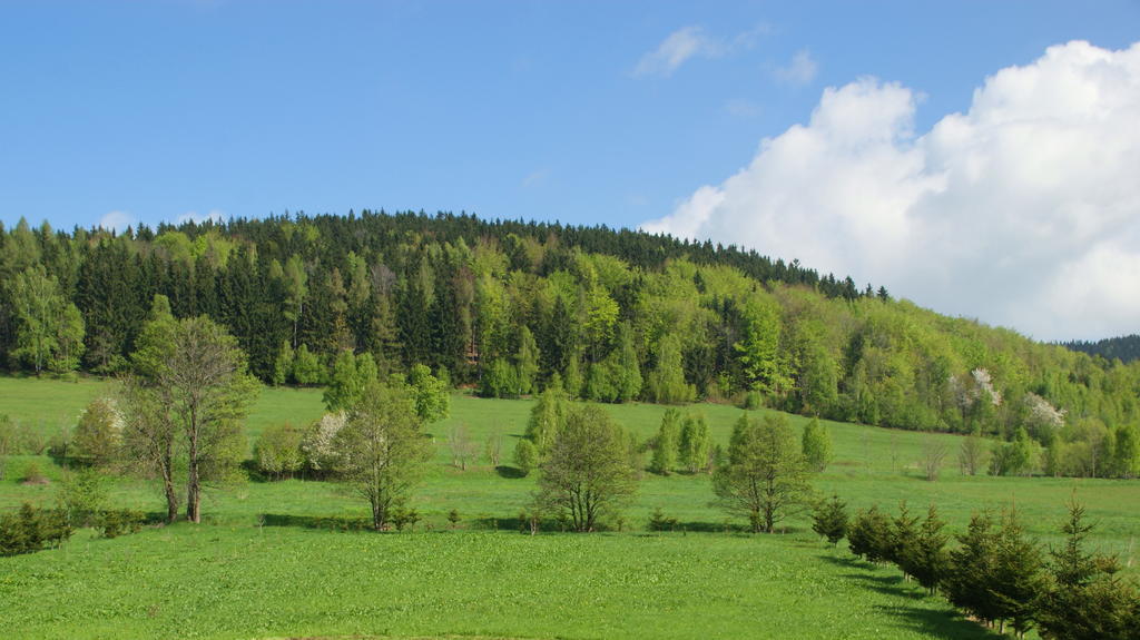 Villa la Val, Karkonosze Szarocin Kültér fotó